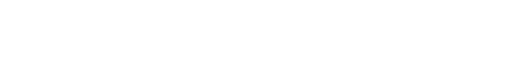 Your councillors are responsible for making sure that the services that the council provides meet the needs of reside   